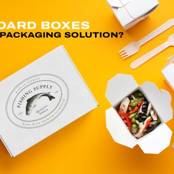 Why Cardboard Boxes Are Best Packaging Solution